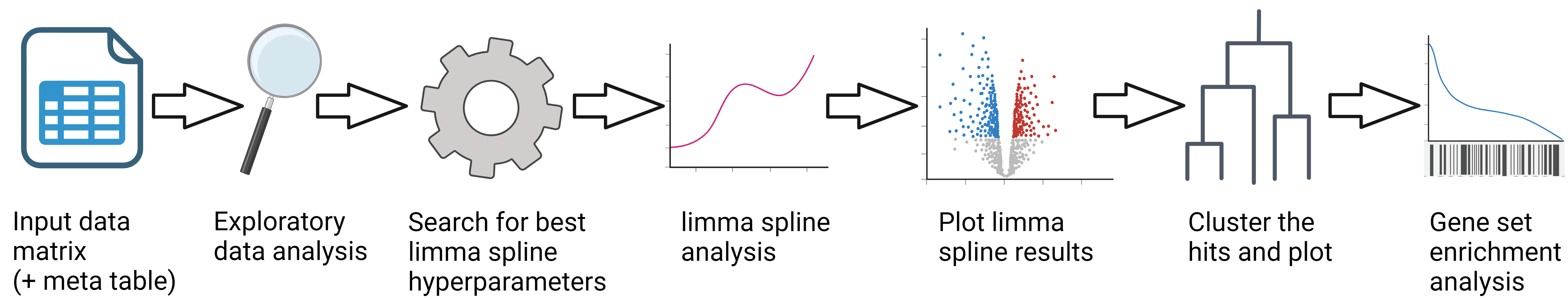 Graphical Abstract of SplineOmics Workflow